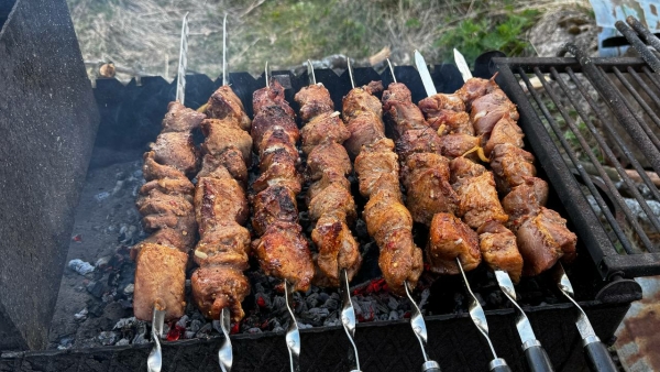 Петербуржцам рассказали, что пожарить шашлык без штрафа можно на специально отведенных местах