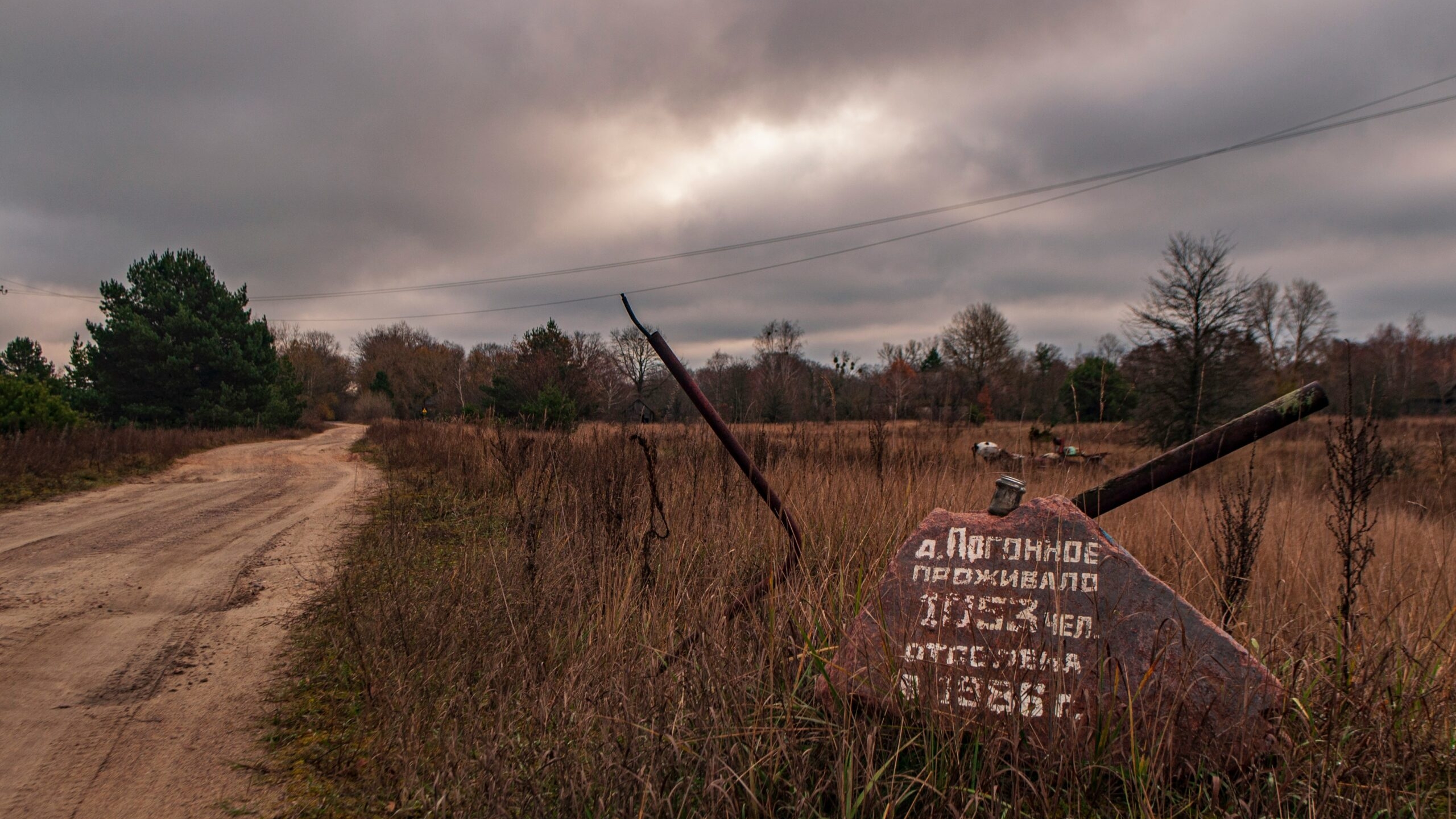 В Петербурге прошли мероприятия памяти чернобыльцев