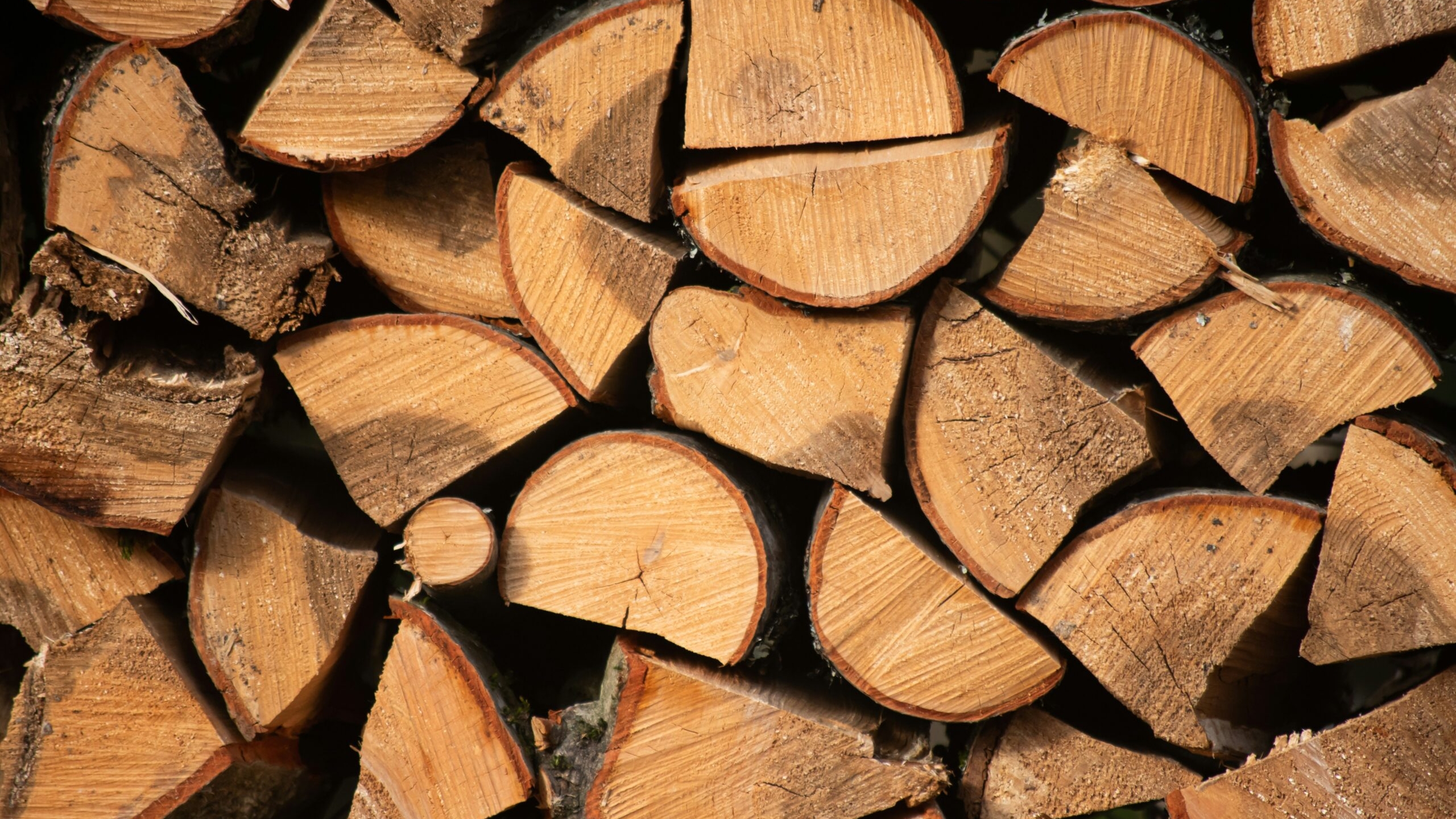 Петербург введет льготные цены на твердое топливо