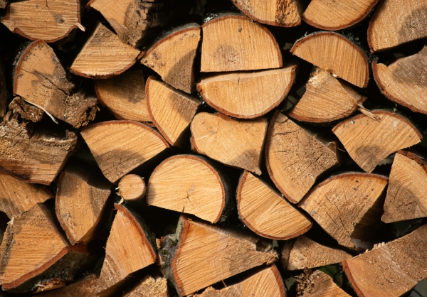 Петербург введет льготные цены на твердое топливо