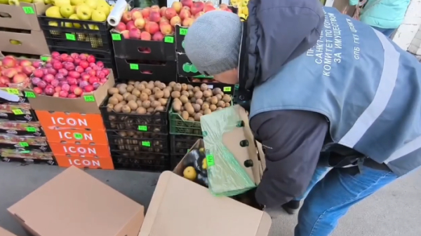 У торговцев-нелегалов на проспекте Художников изъяли 350 кг овощей и фруктов