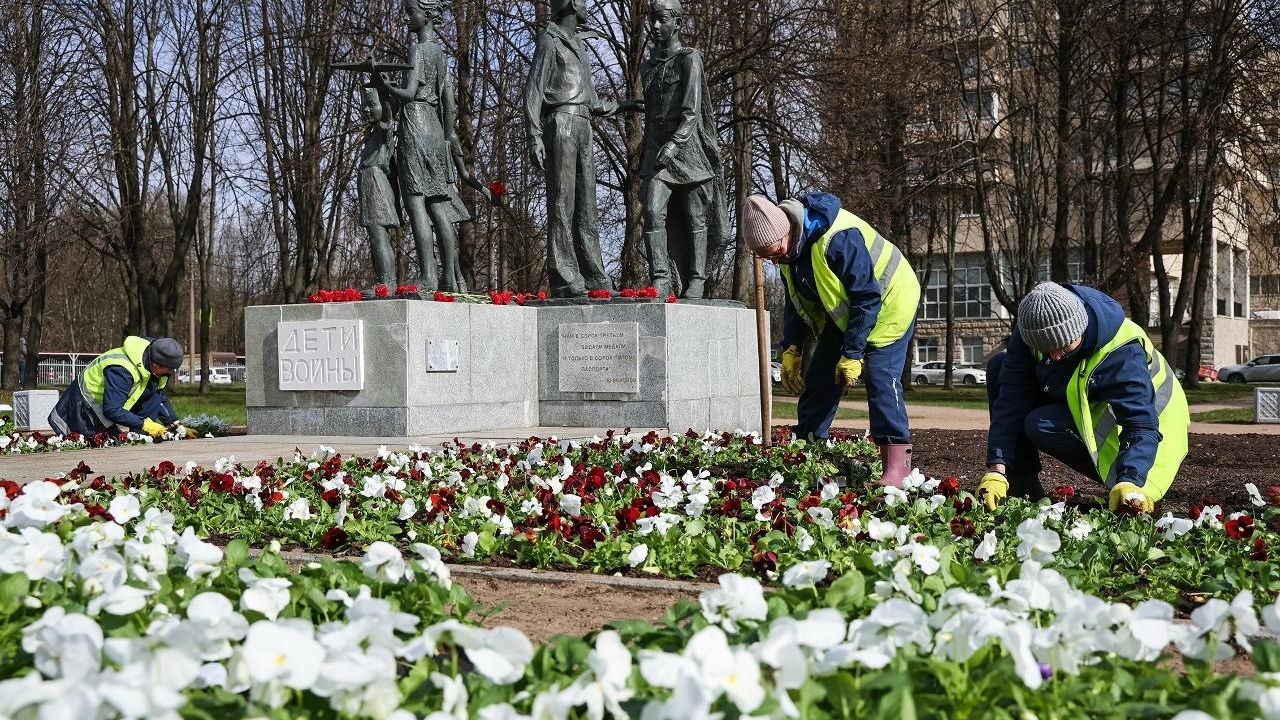 На петербургских улицах высадили 200 тысяч цветов