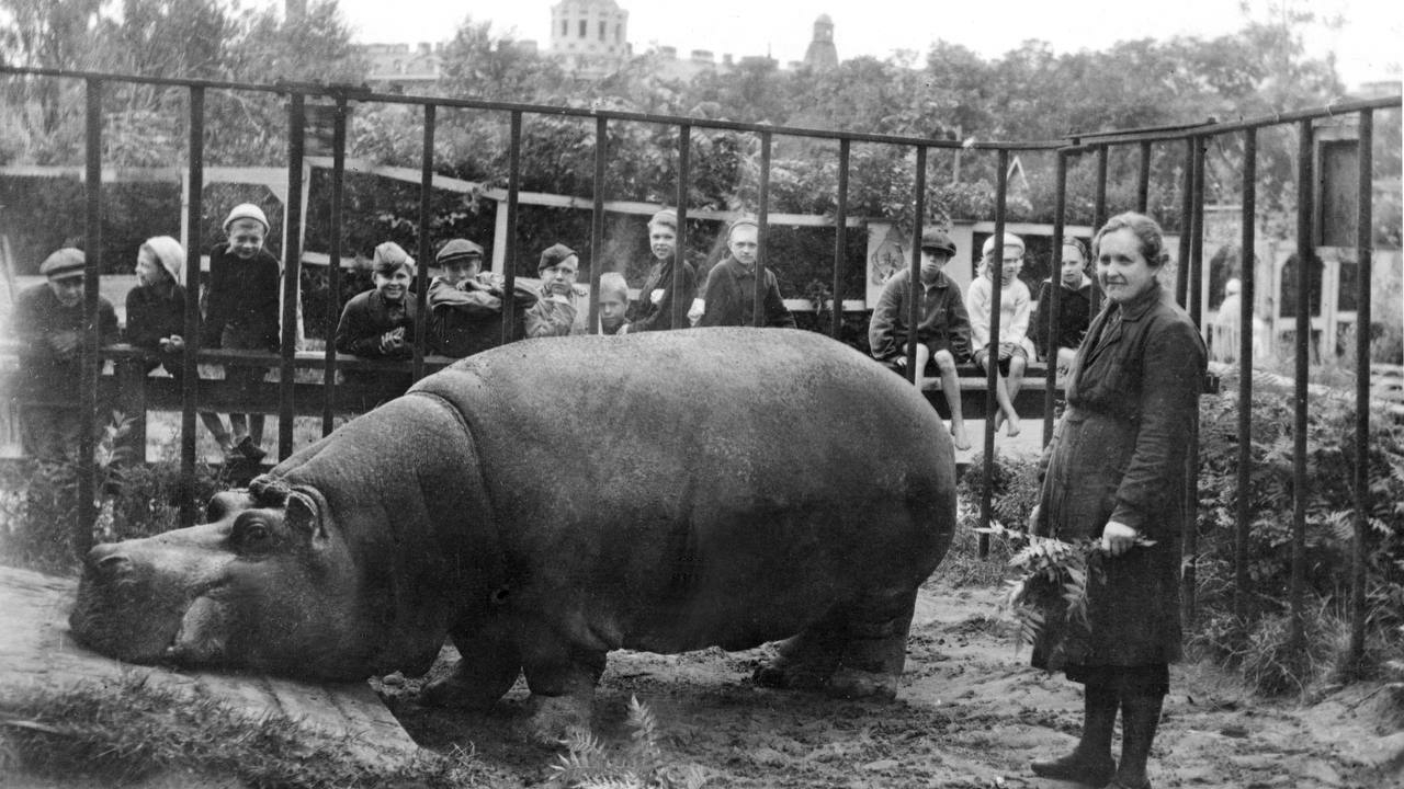 В Ленинградском зоопарке пройдет еще одна лекция «Зоосад в годы блокады»