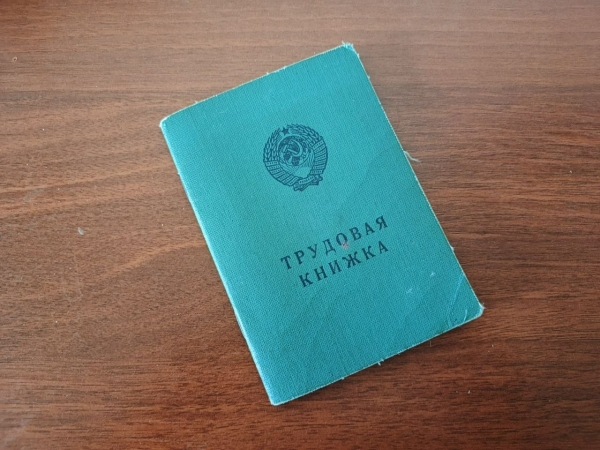 Петербуржцы все чаще начали выбирать электронную трудовую книжку