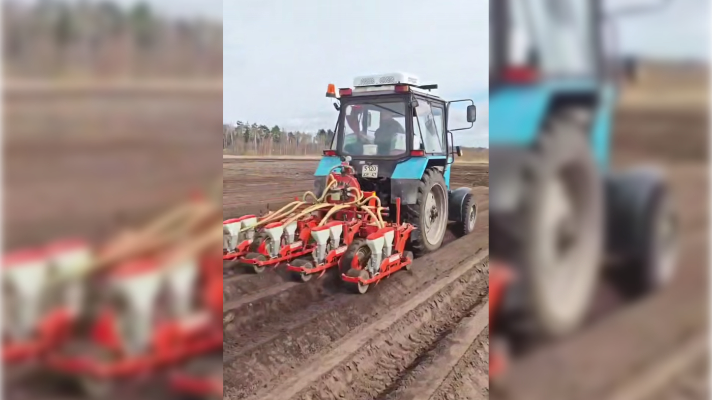 В Ленинградской области завершается посевная кампания