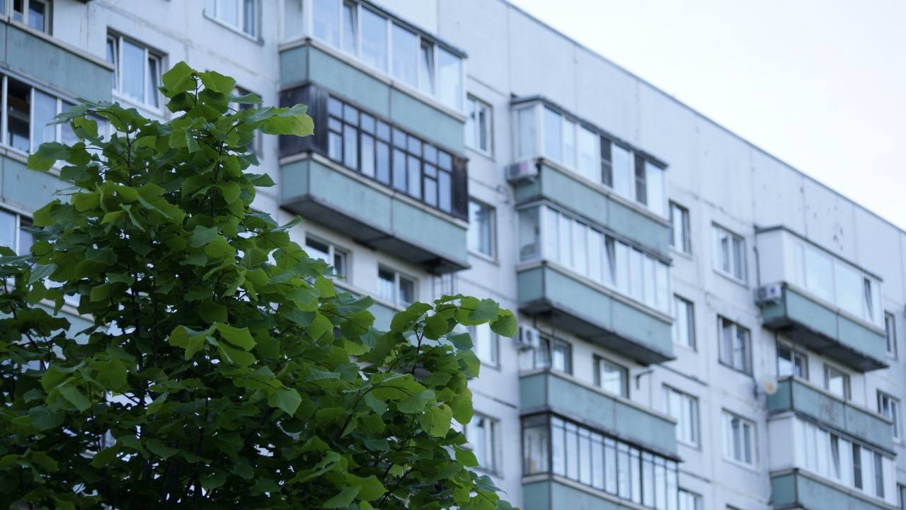Тропические ночи: жара накроет Петербург перед дождями и похолоданием