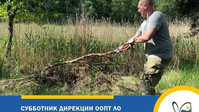 В заказнике «Кургальский» в Ленобласти навели порядок во время субботника