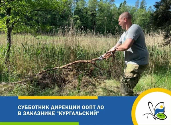 В заказнике «Кургальский» в Ленобласти навели порядок во время субботника