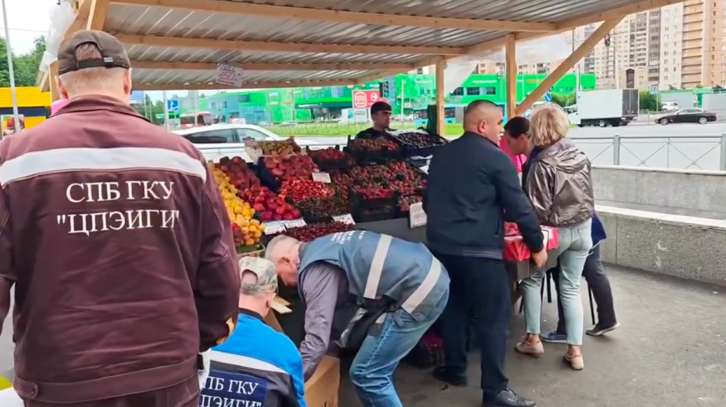 В Приморском районе Петербурга закрыли несколько нелегальных торговых точек