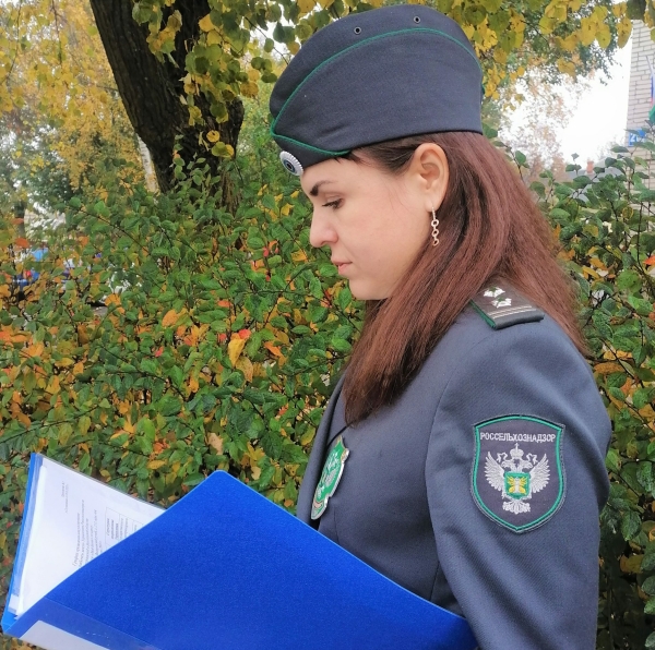 Два петербургских зоопарка наказали за нарушения