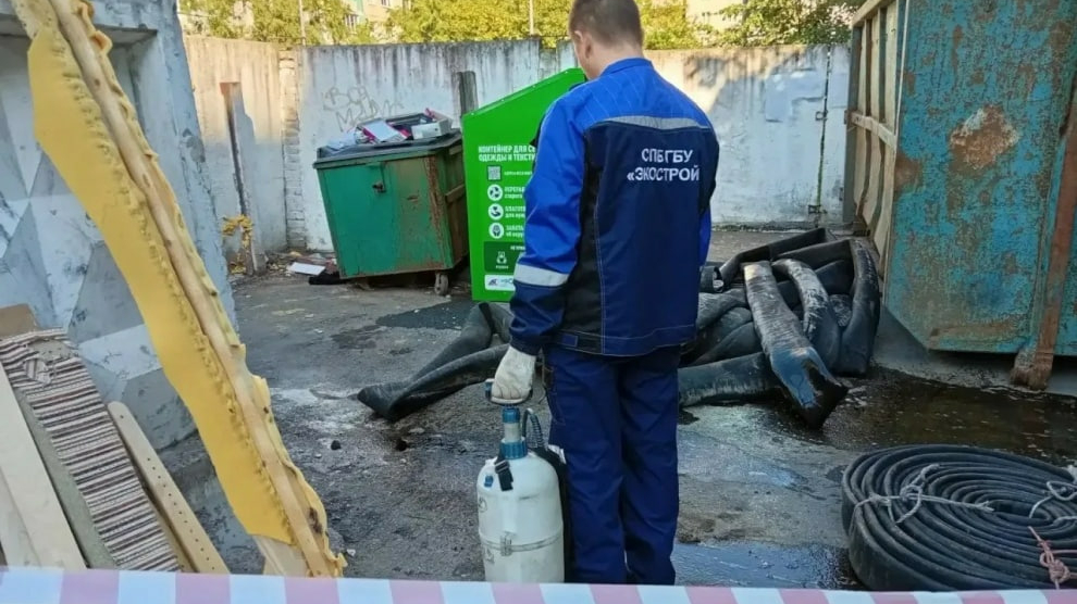Почти 500 обращений поступило экологическим службам Петербурга за неделю