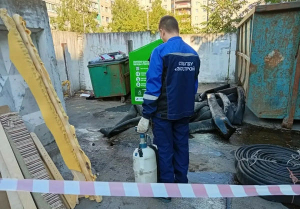 Почти 500 обращений поступило экологическим службам Петербурга за неделю