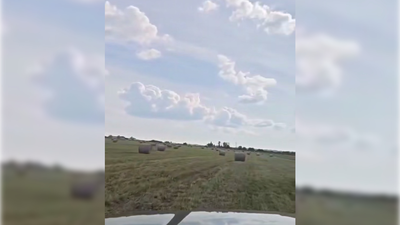 Аграриям Ленобласти топлива на уборочную кампанию хватит