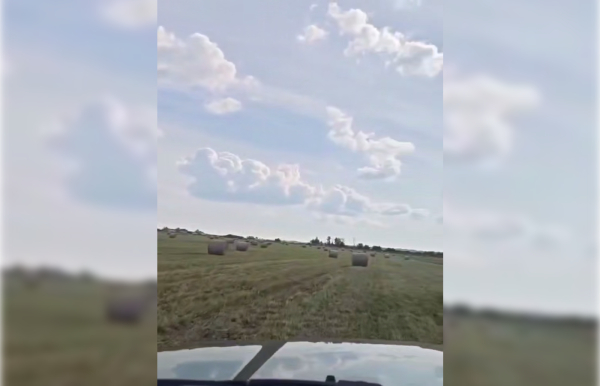 Аграриям Ленобласти топлива на уборочную кампанию хватит