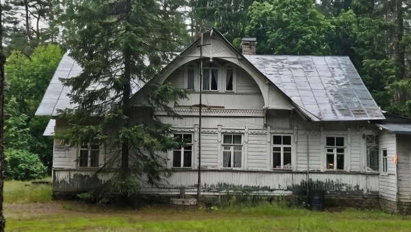 Дом Романова в Ушково могут признать памятником по заявке петербуржцев
