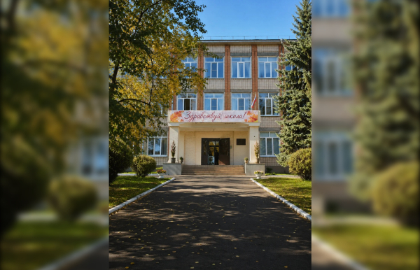 ГАТИ проинспектирует фасады петербургских школ и детских садов