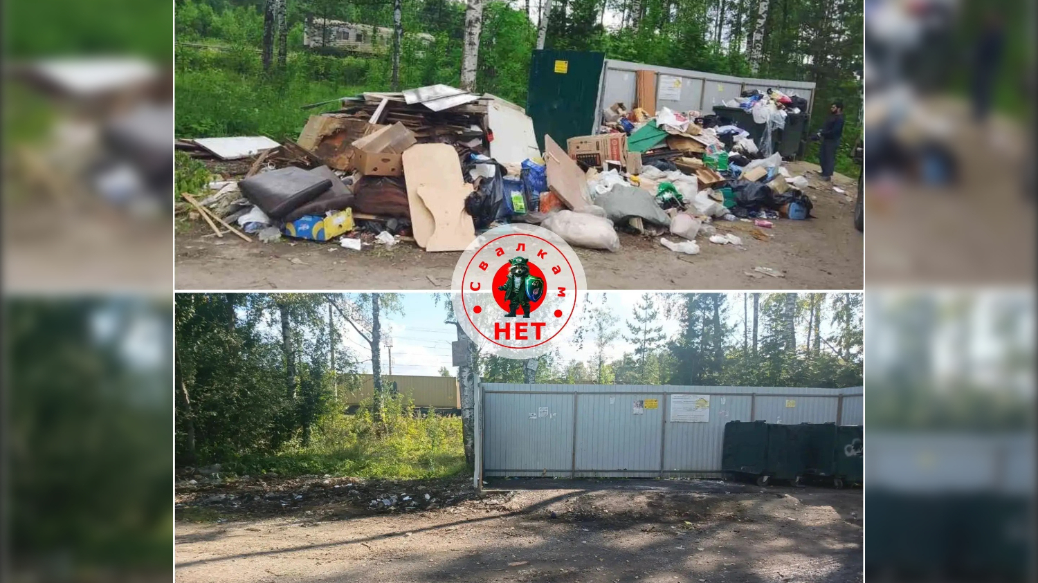 Незаконные свалки убрали в Кировском районе Петербурга после рейда Госэконадзора