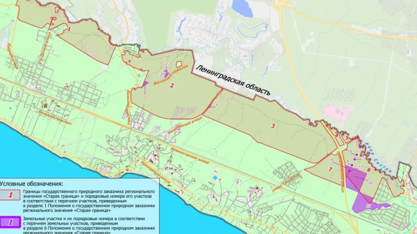 В Курортном районе Петербурга готовят заказник из семи природных зон