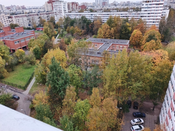 Петербург пережил один из самых теплых сентябрей за всю историю наблюдений