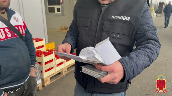 В Петербурге устроили облаву на мигрантов в оптовом комплексе